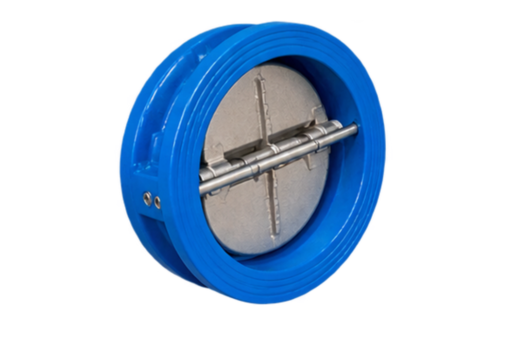 Dual Plate Check Valve